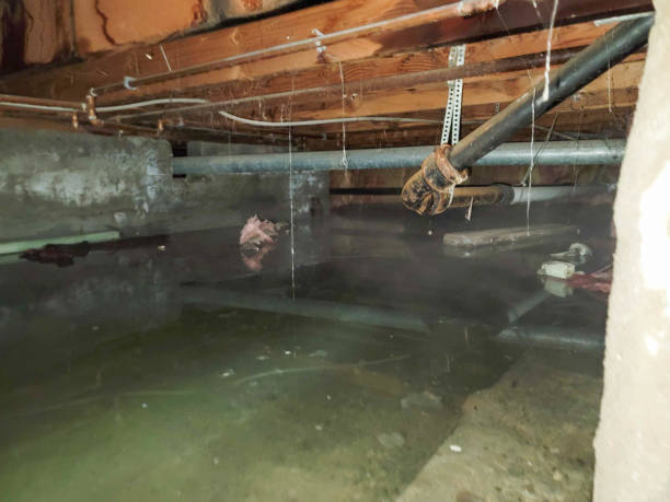 Best Water damage restoration near me  in Madison, MS