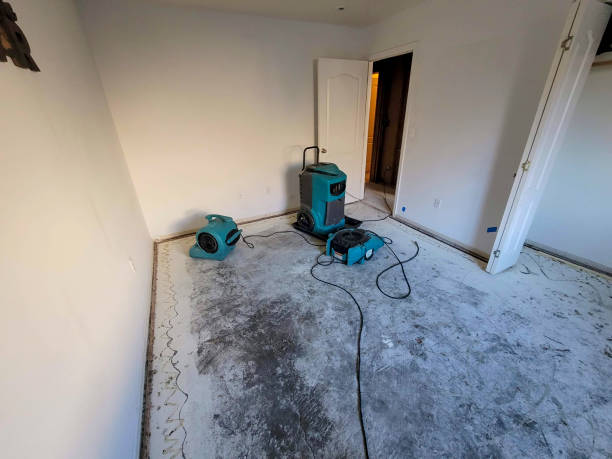 Best Professional water damage repair  in Madison, MS