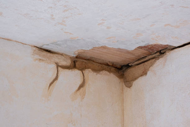 Best Flood damage cleanup  in Madison, MS