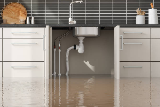 Best 24-hour water damage restoration  in Madison, MS